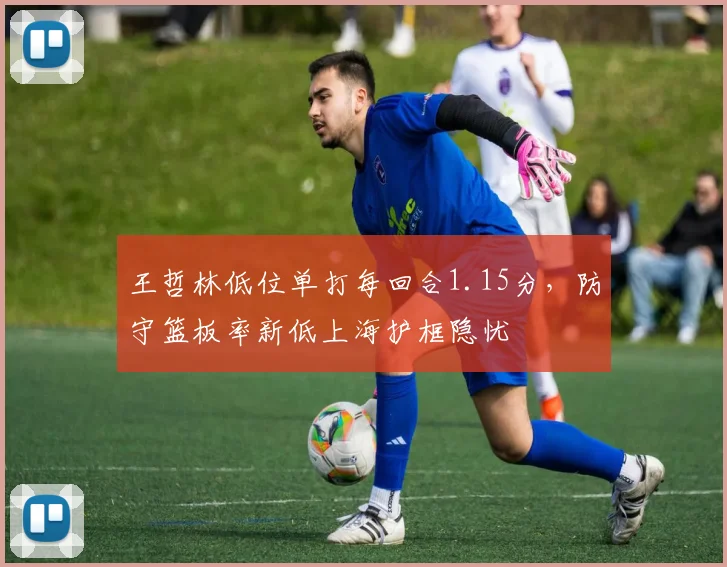 王哲林低位单打每回合1.15分,防守篮板率新低上海护框隐忧